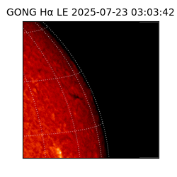 gong - 2025-07-23T03:03:42