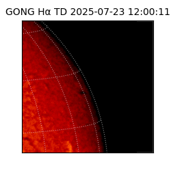 gong - 2025-07-23T12:00:11