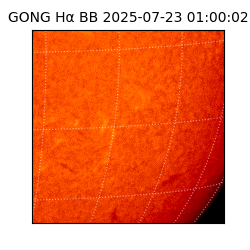 gong - 2025-07-23T01:00:02