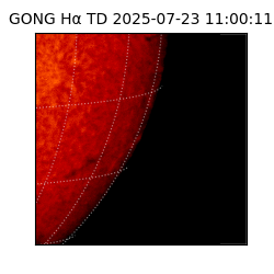 gong - 2025-07-23T11:00:11