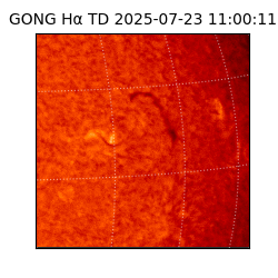 gong - 2025-07-23T11:00:11