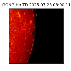 gong - 2025-07-23T08:00:11