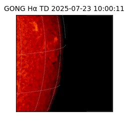 gong - 2025-07-23T10:00:11