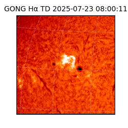 gong - 2025-07-23T08:00:11