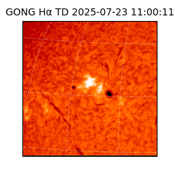 gong - 2025-07-23T11:00:11