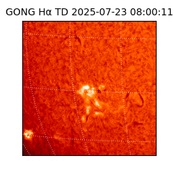 gong - 2025-07-23T08:00:11