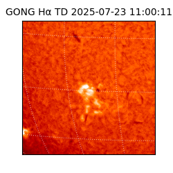 gong - 2025-07-23T11:00:11