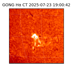 gong - 2025-07-23T19:00:42