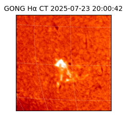gong - 2025-07-23T20:00:42