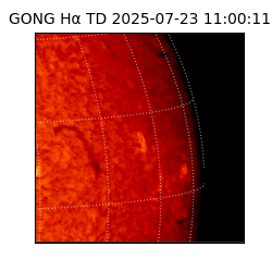 gong - 2025-07-23T11:00:11