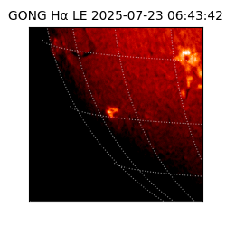 gong - 2025-07-23T06:43:42