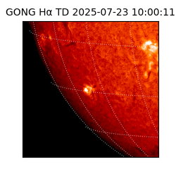 gong - 2025-07-23T10:00:11