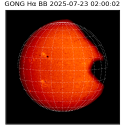 gong - 2025-07-23T02:00:02