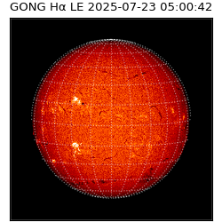 gong - 2025-07-23T05:00:42