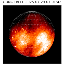 gong - 2025-07-23T07:01:42