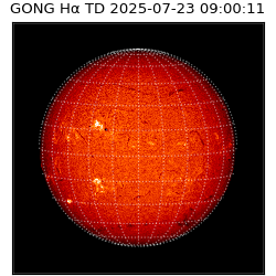 gong - 2025-07-23T09:00:11