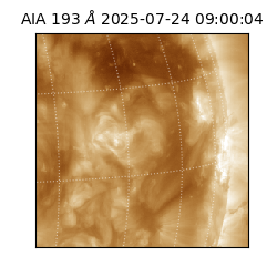 saia - 2025-07-24T09:00:04.843000