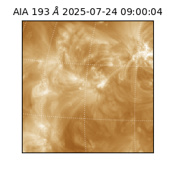 saia - 2025-07-24T09:00:04.843000