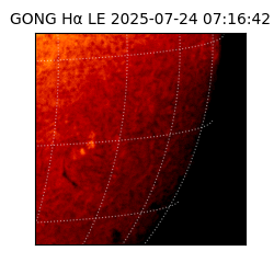 gong - 2025-07-24T07:16:42
