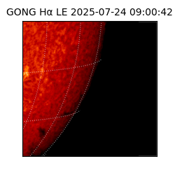 gong - 2025-07-24T09:00:42