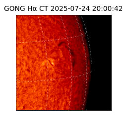 gong - 2025-07-24T20:00:42