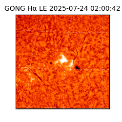 gong - 2025-07-24T02:00:42