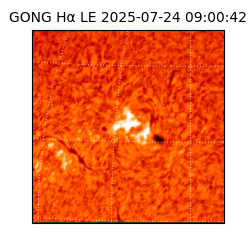 gong - 2025-07-24T09:00:42
