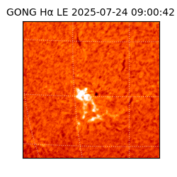 gong - 2025-07-24T09:00:42