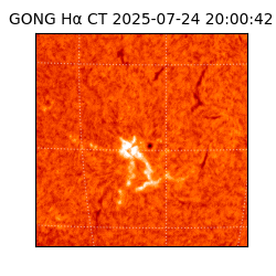 gong - 2025-07-24T20:00:42