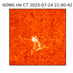 gong - 2025-07-24T21:00:42