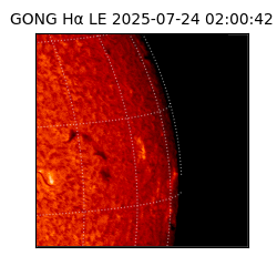 gong - 2025-07-24T02:00:42