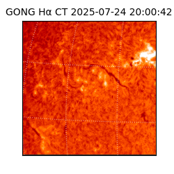 gong - 2025-07-24T20:00:42