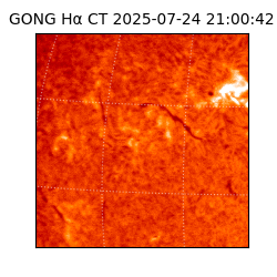 gong - 2025-07-24T21:00:42