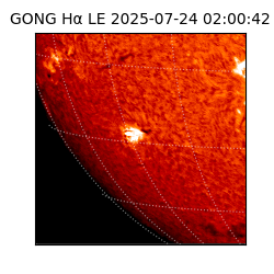 gong - 2025-07-24T02:00:42