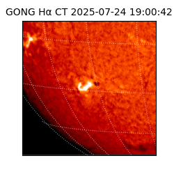 gong - 2025-07-24T19:00:42