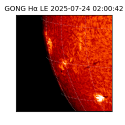 gong - 2025-07-24T02:00:42