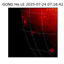 gong - 2025-07-24T07:16:42