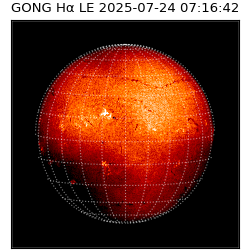 gong - 2025-07-24T07:16:42