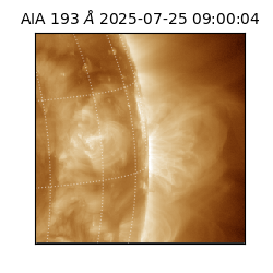 saia - 2025-07-25T09:00:04.843000