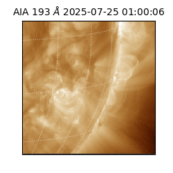 saia - 2025-07-25T01:00:06.647000