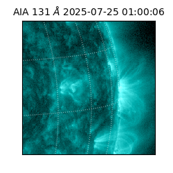 saia - 2025-07-25T01:00:06.622000