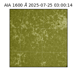 saia - 2025-07-25T03:00:14.123000