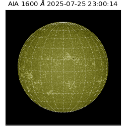 saia - 2025-07-25T23:00:14.126000