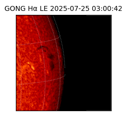 gong - 2025-07-25T03:00:42