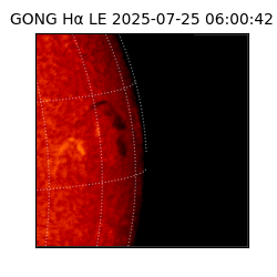 gong - 2025-07-25T06:00:42