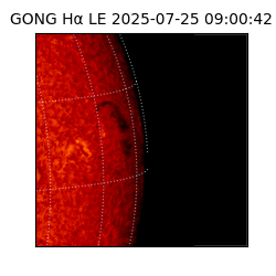 gong - 2025-07-25T09:00:42