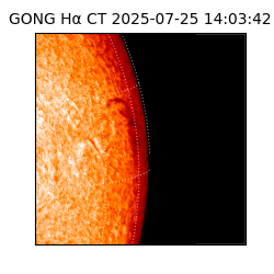 gong - 2025-07-25T14:03:42