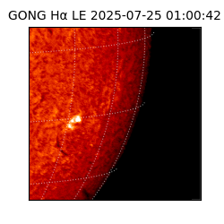 gong - 2025-07-25T01:00:42