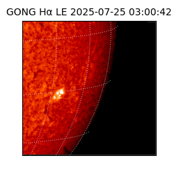gong - 2025-07-25T03:00:42