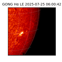 gong - 2025-07-25T06:00:42